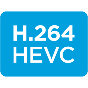 H.264 & HEVC Codecs